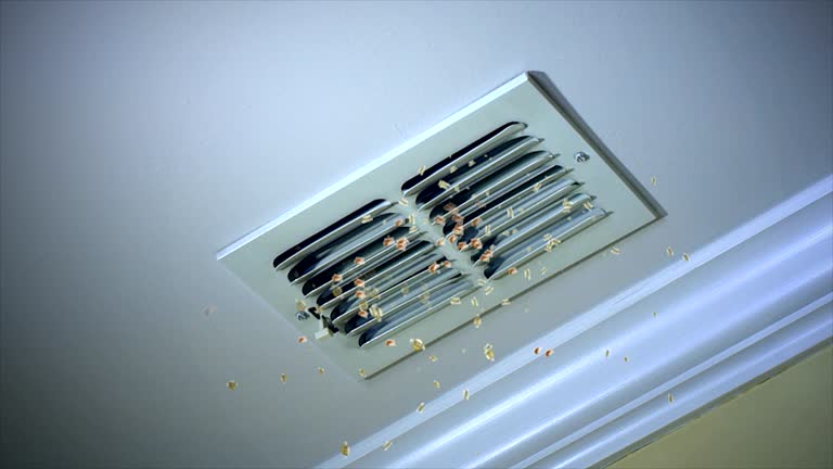Best Air Duct Cleaning Near Me  in Riverside, CT